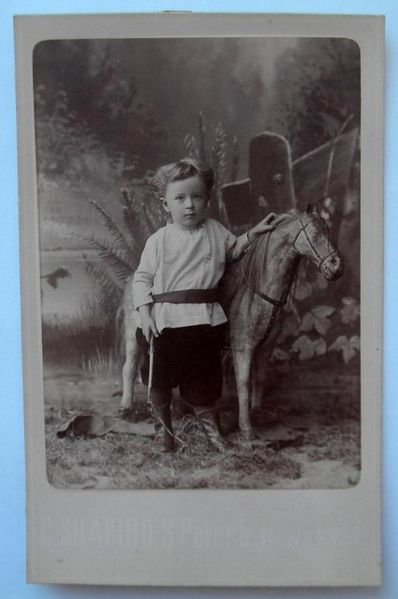 Файл:RemizovMih 1891.jpg
